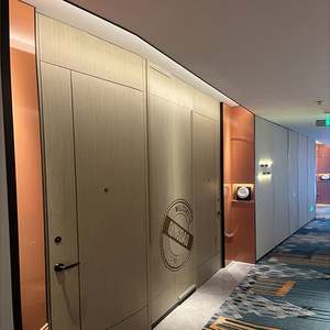 Puerta Interior Moderna sin Marco, de Madera y Plástico, Insonorizada, para Entrada de Apartamentos y Dormitorios - Product Image 1