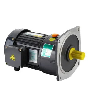 Eenvoudige Installatie 1 Fase Ac Rear Motor 110V/220V Ac Motor 0.75kw 32Mm 750W Met Promotie Prijs Voor 2023