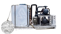 Máquina para hacer hielo en escamas, máquina para hacer escamas de helado, industrial, 1 tonelada, día, agua dulce