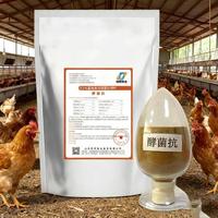 Aliments composés pour volailles de haute qualité pour augmenter le taux de ponte des œufs