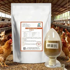 Umpan makanan ayam Premix meningkatkan kesehatan usus umpan senyawa unggas kualitas tinggi untuk meningkatkan tingkat telur bertelur - Product Image 5