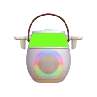 Enceinte Karaoké Portable SL6 avec Deux Microphones Sans Fil 20W pour KTV Domestique Tout-en-un à Batterie RGB et Streaming en Direct