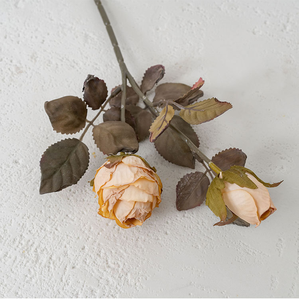 Rose d'été séchée à double tête style INS, fleur artificielle pour la décoration intérieure, vente en gros du fabricant Rose Wall - Product Image 6