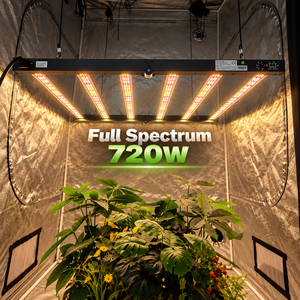 Lampe de culture pour serre 720W, spectre complet, production de légumes, éclairage supplémentaire commercial à haut PPE - Product Image 3