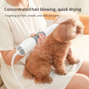 Secador de pelo para cachorros y mascotas, cepillo de secado para perros, peine para el pelo, peluquería, máquina de tracción, soplador para perros - Product Image 2