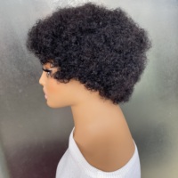 Perruque en cheveux humains Afro Kinky Curly Wave Pixie Cut pour femmes, perruque entièrement fabriquée à la machine