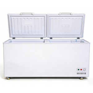 Congélateur coffre horizontal double température pour la maison - Grande promotion - Product Image 1