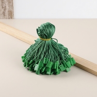 Étiquette de vêtement personnalisée en plastique lavable avec fermeture à clip, cordon torsadé en polyester, corde de suspension pour sacs et chaussures