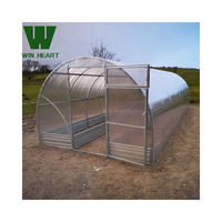 Invernadero Grande para Jardín Exterior Win Heart, de Policarbonato, con Marco de Metal Galvanizado, Doble Capa de PE, con Garantía de 15-20 Años