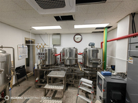 Mini équipement de brasserie tout-en-un 100L 200L 300L Système de brassage de bière nano avec caractéristiques de traitement de l'alcool