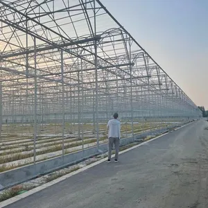 Greenhouse multispan agricultura