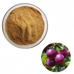 จำหน่ายผงสารสกัดจากพลัมคุณภาพสูง <span class=keywords><strong>Prunus</strong></span> Domestica - Product Image 1
