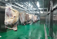Chambre froide compacte pour viande 500kg~5tonnes, mini-congélateur pour boucherie, construction de chambre froide, entrepôt frigorifique