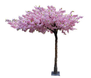 Faire de la fibre de verre 10 pieds 3m décor intérieur extérieur grande haute simulation rose blanc Sakura arbres artificiels fleur de <span class=keywords><strong>cerisier</strong></span> arbre - Product Image 1