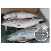 チリからのノルウェーの大西洋卸売フィレット全ラウンド新鮮冷凍魚ピンクサーモン