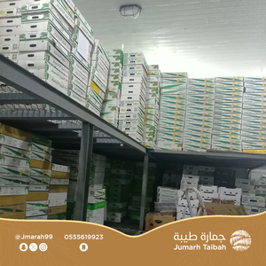 Datteri Ajwah Sauditi di Lusso di Qualità Premium, Frutta Secca Dolce e Tenera Lavorata Secondo gli Standard AD per Ordini all'Ingrosso e Distribuzione al Dettaglio - Product Image 3