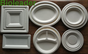 Piring Pesta Persegi Bagasse Putih Sekali Pakai Ramah Lingkungan Biodegradable 6 8 10 Inci - Product Image 6