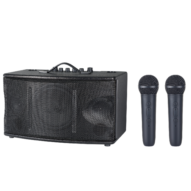 New LS-204 Wireless Bluetooth Speaker, High-power Karaoke Subwoofer with Dual Microphones
