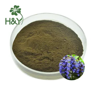 Turkesterone Powder Herbal Extracts Turkesterone Extract 10% Turkesterone Powder For Supplement