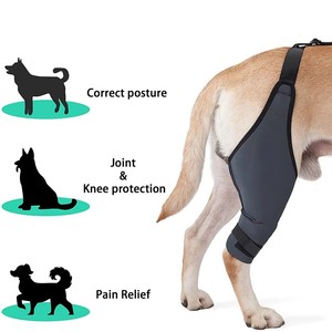 Venta caliente transpirable perro rodillera ajustable lesión canino ligamento cruzado articulación rodilla soporte envoltura mascota perro rodillera - Product Image 6