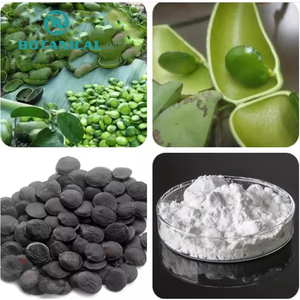 B.C.I. tedarik <span class=keywords><strong>Griffonia</strong></span> Simplicifolia tohumları 98% 5-Htp hidroksitryptophane gana tohumu ekstresi - Product Image 6