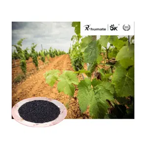 Potassium humic Humate Shiny Flake/Crystal/Powder Organic Fertilizer