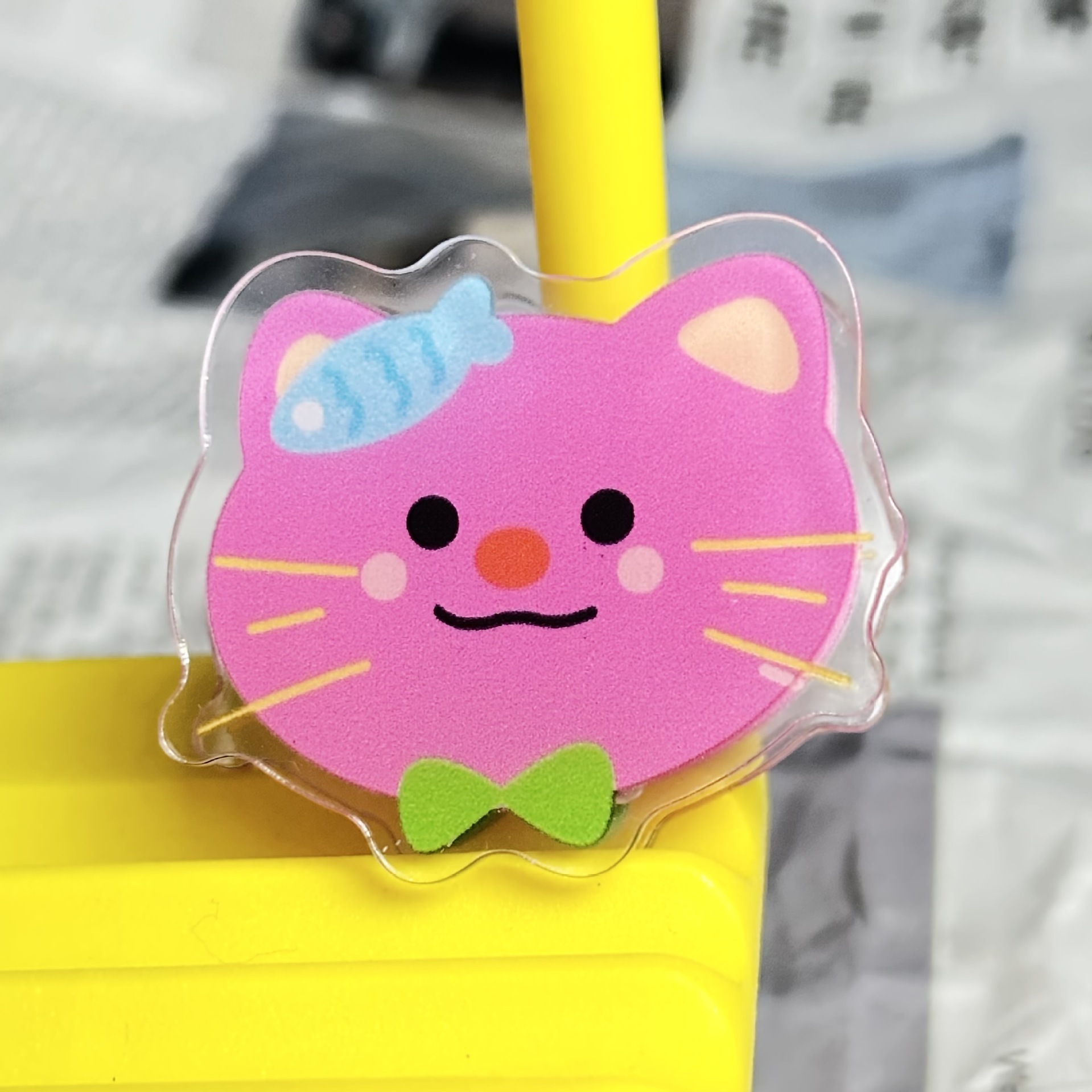 chaton