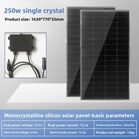 Panneau solaire monocristallin en silicium haute efficacité 250W 100x100cm 10mm d'épaisseur pour la production d'énergie domestique hors réseau et la recharge
