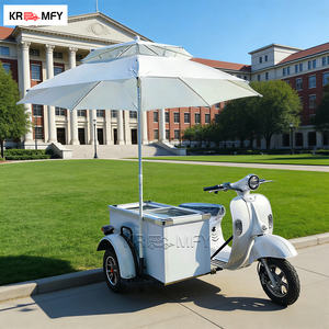 Carrito de Venta Ambulante con Triciclo y Congeladores para Helados, Paletas y Helados Italianos, Ideal para la Venta de Alimentos al Aire Libre - Product Image 5