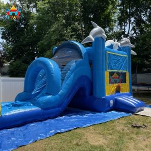 Castillo Inflable de PVC Comercial 2025, Modelo Delfín de Aguas Profundas, Combinado Húmedo y Seco, Fácil de Instalar, para 6-10 Personas, en Alquiler - Product Image 3