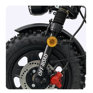 Bicicleta de reparto clásica Wuxi, <span class=keywords><strong>ciclomotor</strong></span> barato, bicicleta de alta calidad con capacidad de carga de 150 kg, scooter eléctrico de 1200 W y 50 km/h, con batería de litio para adultos - Product Image 4