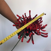 Rangkaian Bunga Krisan Sutra Buatan Gaya Cina Sentuhan Realistis Flocking Injection Molding untuk Pernikahan dan Rumah