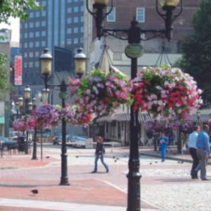 Panier vertical de jardinage de qualité supérieure, panier suspendu pour fleurs - Product Image 4