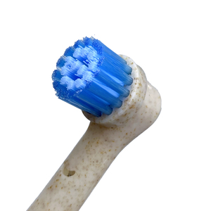Têtes de rechange écologiques pour <span class=keywords><strong>brosse</strong></span> <span class=keywords><strong>à</strong></span> <span class=keywords><strong>dents</strong></span> électrique <span class=keywords><strong>Oral</strong></span> <span class=keywords><strong>B</strong></span> <span class=keywords><strong>Io</strong></span>-<span class=keywords><strong>Prix</strong></span> en gros - Product Image 2