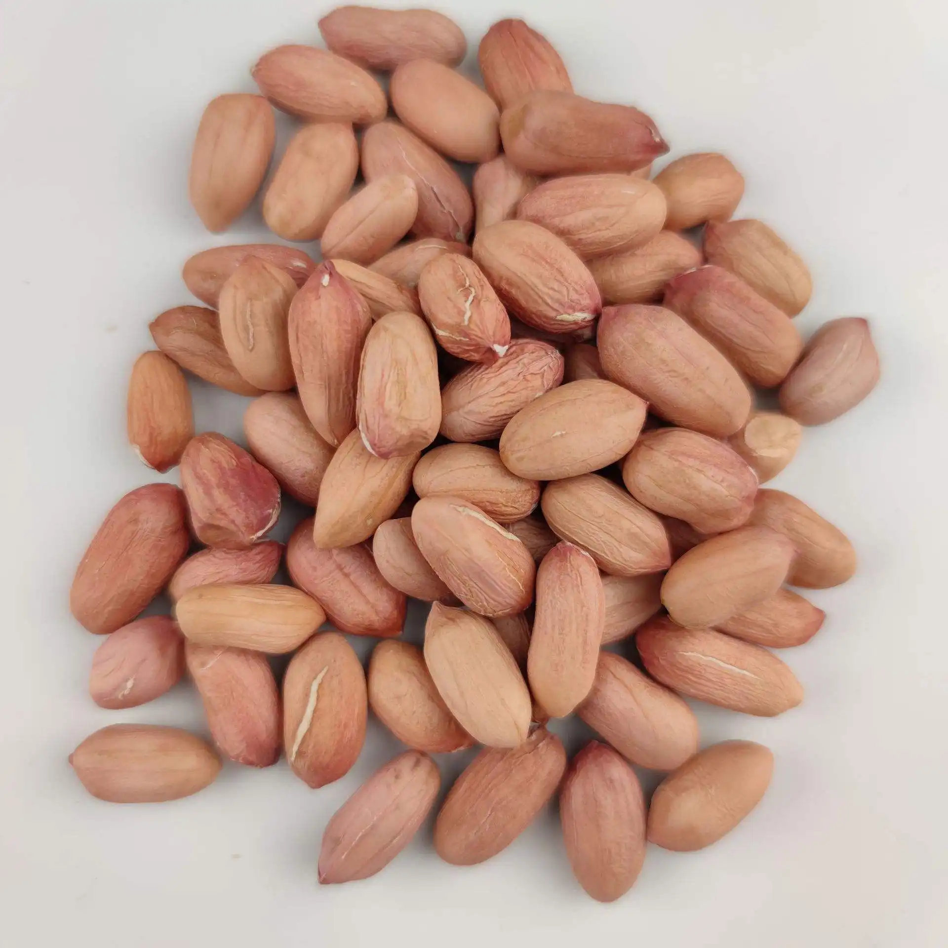 Cina vendita origine acquirenti all'ingrosso produttori di noccioli di arachidi pelati specifica prezzi di arachidi rosse sbollentate grezze