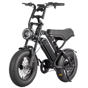 Véhicule électrique V20 Mini Edition 500 watts 48 volts avec pneus larges de 16 pouces, norme européenne, disponible en stock depuis les entrepôts européens - Product Image 3