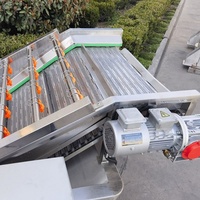 Bellenwasmachine voor fruit en groenten, industriële fruitwasser voor aardappel, knoflook, dadels en verse productenfabrieken