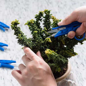 Ciseaux de taille miniatures bleus de haute qualité, coupe-fil en acier inoxydable, <span class=keywords><strong>sécateur</strong></span> pour bonsaï, <span class=keywords><strong>sécateur</strong></span> de jardin - Product Image 6