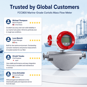 Medidor de Flujo Másico Coriolis Sinomeasure FCC800 IP67 para Gestión de Combustible Marino y Automatización Industrial - Product Image 5