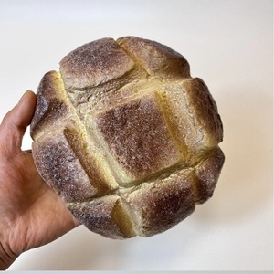 ของเล่นคลายเครียดขนมปังสับปะรดช็อกโกแลต TPE สำหรับสำนักงาน ทุกเพศ 14 ปีขึ้นไป - Product Image 1