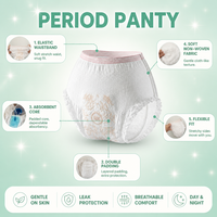 Serviettes hygiéniques de type culotte, anti-fuites, haute absorption, sous-vêtements pour femmes, soins menstruels