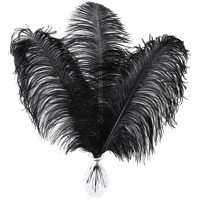Plume d'autruche noire 15-80 cm, tige fine, plume large teinte, pour centre de table de mariage, décoration artisanale, vente en gros