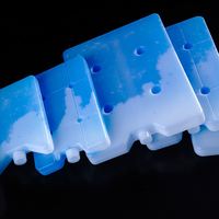 Vente en gros de plusieurs tailles de brique de refroidisseur de glace de gel de congélateur en plastique dur réutilisable