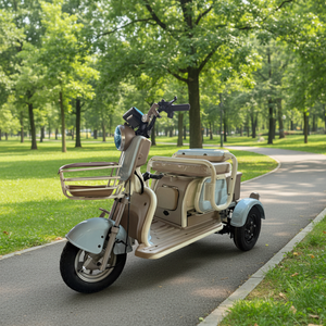 Moto électrique de tourisme 500W, tricycle électrique 60V pour personnes à mobilité réduite - Product Image 5