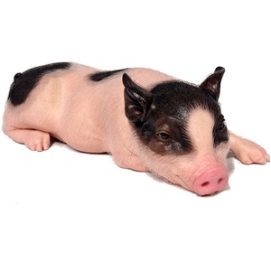 Modelli in Silicone e Fibra di Vetro di Animali a Grandezza Naturale di Qualità Museale, Mini Statue per Decorazione da Scrivania e Parchi Avventura - Product Image 4