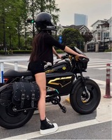 Exportation transfrontalière Moto tout-terrain électrique HIMOTO Black Warrior 48V 3000W avec moteur avant, autonomie de 70-140 km
