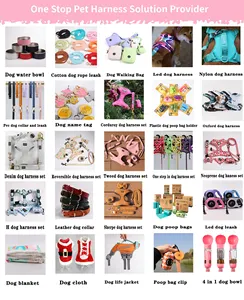 No Pull Custom Dog Katzen geschirr Set für Haustier, Günstige verstellbare Luxus Designer Hunde geschirr Custom Oem Logo Pet Supplies