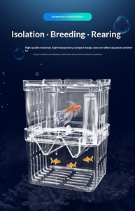 Mini incubateur multifonctionnel, aquarium transparent, boîte d'isolation pour l'élevage des poissons - Product Image 2