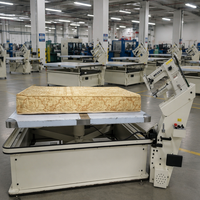 Machine à coudre industrielle automatique programmable OREN RN8B-246WB - Multifonctionnelle en acier inoxydable blanc