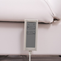 Table de soin esthétique électrique à 2 moteurs, dossier et repose-pieds réglables, directement de l'usine, pour salon de beauté, spa, clinique